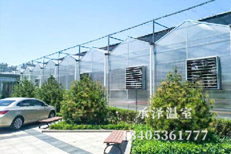 陽(yáng)光板溫室